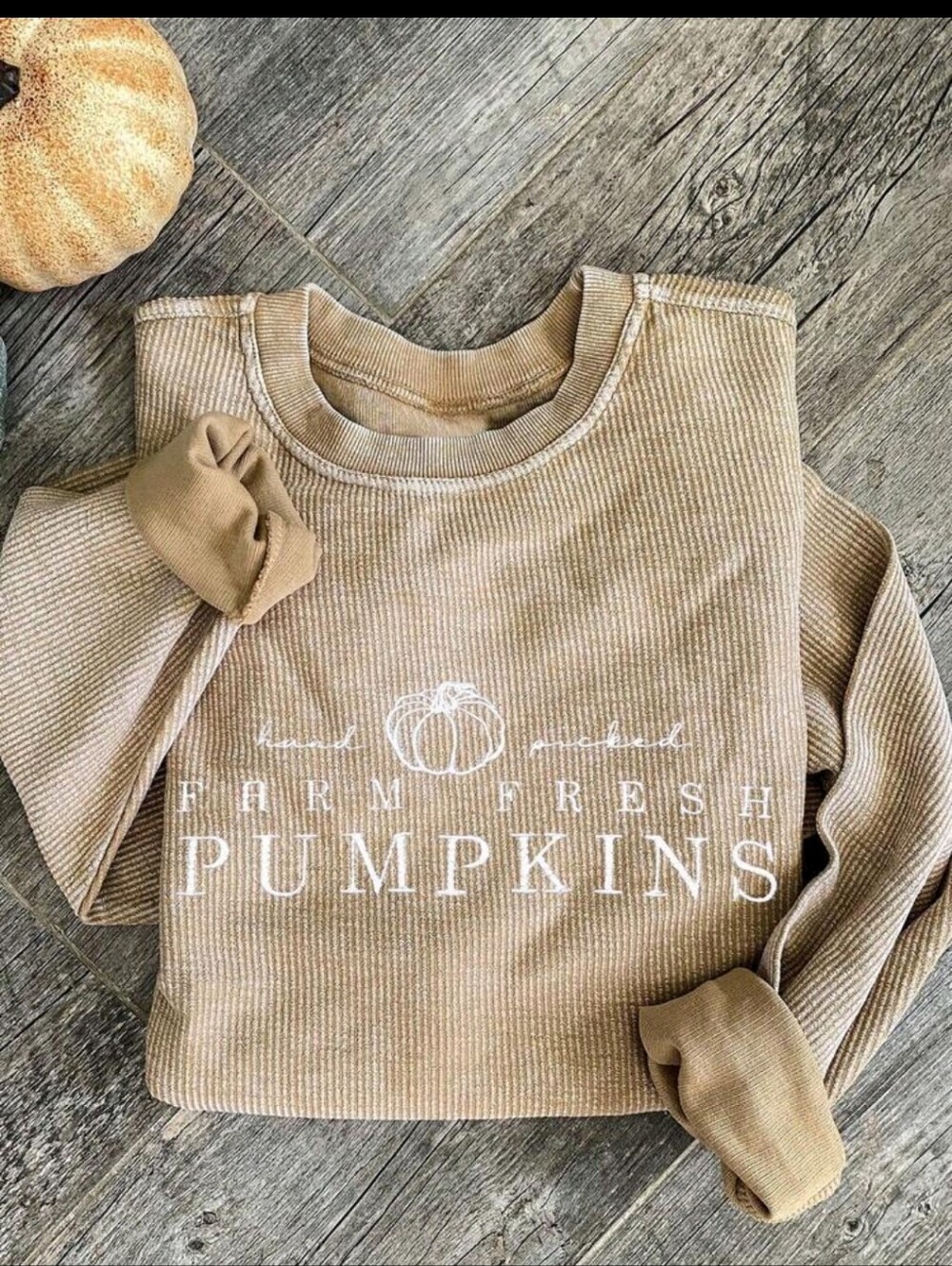 Farm Fresh Pumpkins Ribbed Crewneck Sweater - Tan